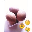 Sawo bu Hj Mariyam