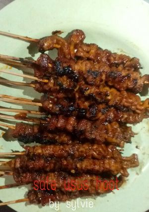 Foto resep Sate Usus Hoot