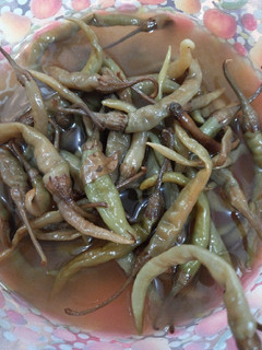 عکسی از دستور ترشی فلفل سبز (شاخی)