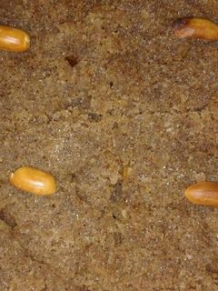 صورة لوصفة كنافة عربية
