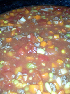 A picture of Hamburger Soup.