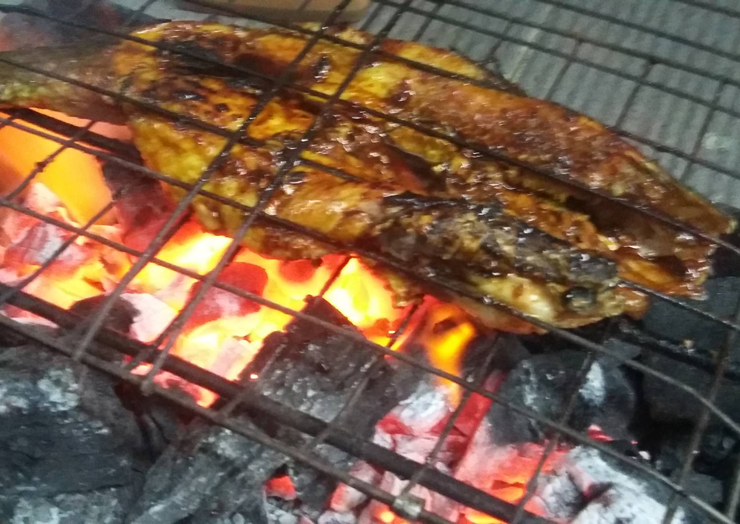 Resep Ikan bakar haruan oleh Bintang Cookpad