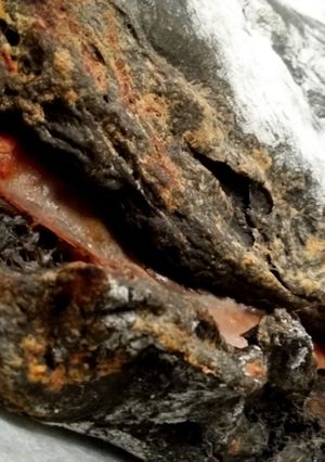 Una foto de Pizza calzone, masa de tinta de sepia