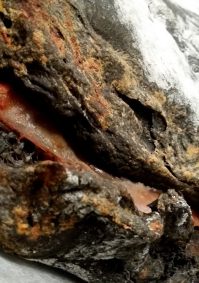 Una foto de Pizza calzone, masa de tinta de sepia