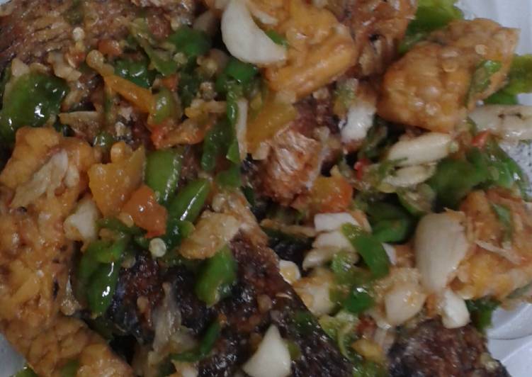 Proses memasak Ikan mujair sambel rawit hijau yang mudah