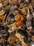 Tumis Kerang Dara