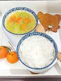 Bubur & sayur bumbu opor (MPASI 1 th+)