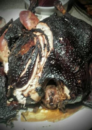 A picture of pecan smoked turkey .