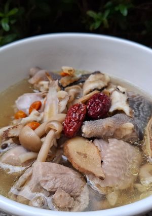 電鍋燉補-當歸菇菇雞湯 的食譜成品照片