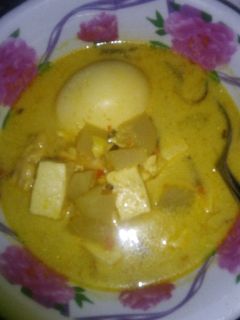 Foto resep Lodeh pepaya muda tahu tempe telor