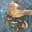 Pollo al horno con ensalada. Grace