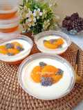 Puding jeruk susu