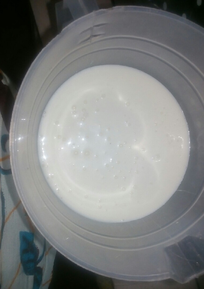 A picture of Home made Yogurt.