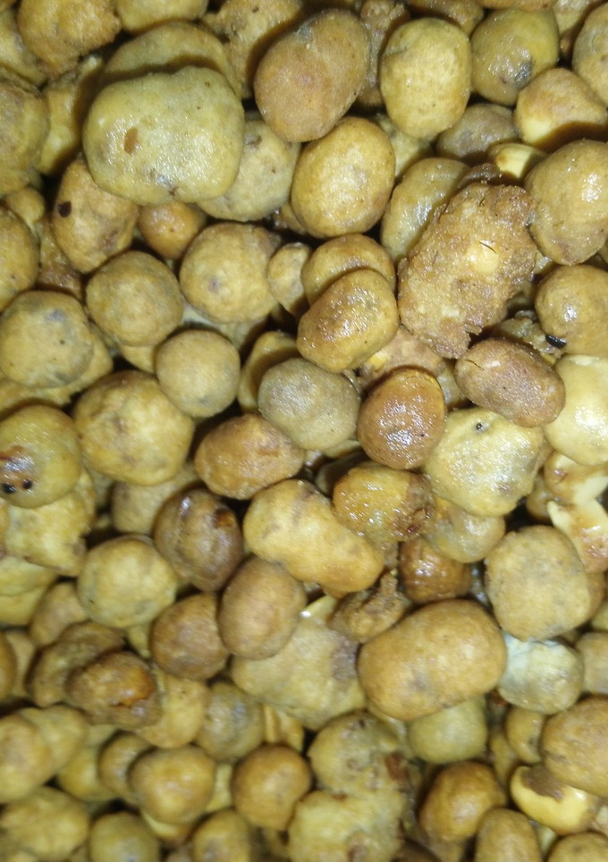 A picture of My first ever coated peanut.