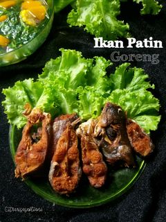 Foto resep Ikan patin Goreng