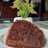 Bolu Karamel Fluffy & Legit Menggigit Anti Gagal!