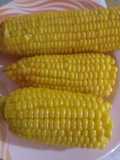 Boiling Corn ⚘⚘