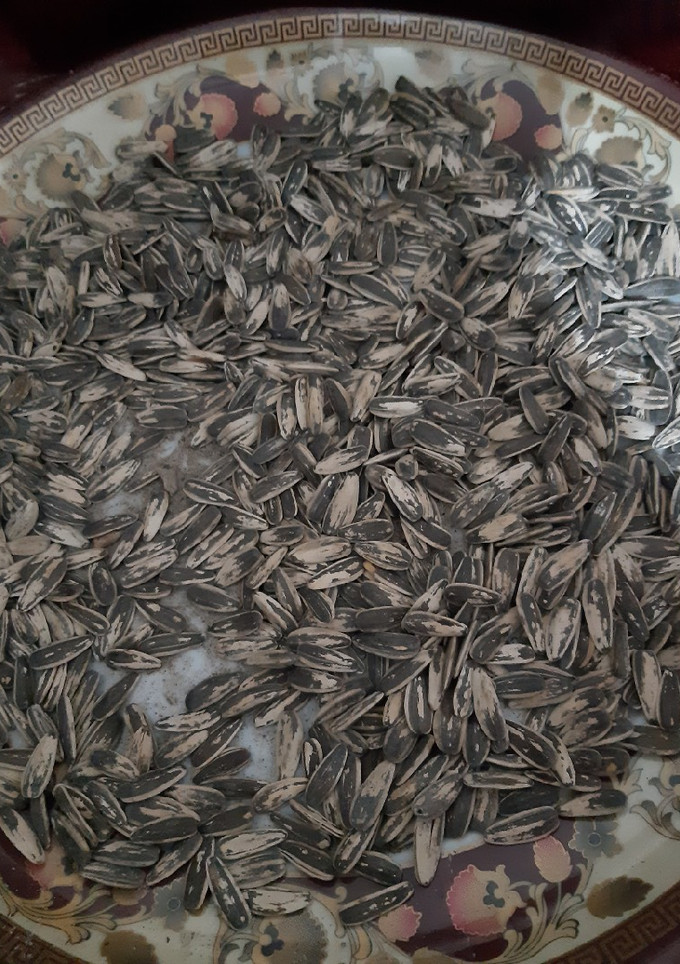 عکسی از دستور تخمک