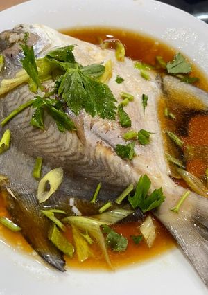 Foto resep Ikan Bawal steam Hongkong