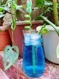 Mocktail bubble gum citron menthe 🍹