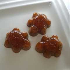 A picture of Pudding GulMer.