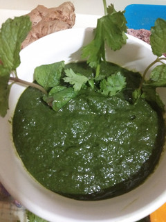 पुदिना चटणी (pudina chutney recipe in marathi) रेसिपी चे मुख्य फोटो