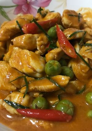 A picture of Panang Chicken Curry 🍗🍗.