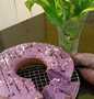 Cara Mudah Membuat Resep Bolu ubi ungu (taro cake) no sp no bp yang Enak Banget Anti Ribet, Sempurna