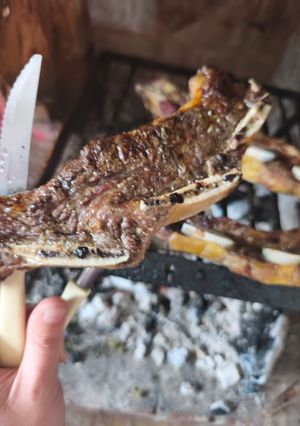 Una foto de Asado en Estufa a Leña