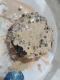 Hamburger Steak with Whisky Peppercorn Sauce