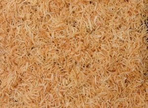 Foto resep Kataifi/Kunafa Sangrai