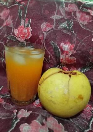 A picture of بیل پتھر کا شربت.