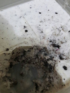 Foto resep Ice Cream Oreo