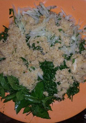 Foto resep Terancam daun pepaya muda
