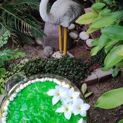 Green custard trifle A picture of Green custard trifle.