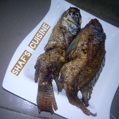 A picture of Fry fish.