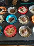 Cupcakes deliciosos