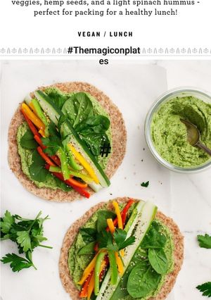 A picture of Spinach Hummus Wrap.
