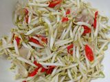 Tumis Taoge 