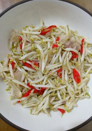Foto resep Tumis Taoge 