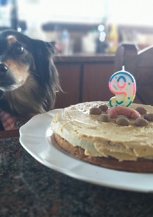 Una foto de Torta apta para perros
