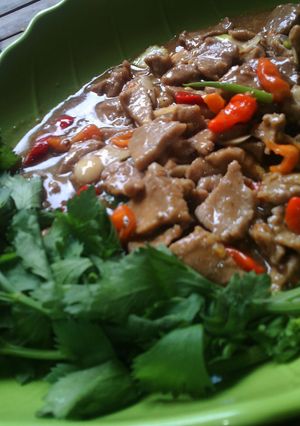 Foto resep Spicy Beef Teriyaki 