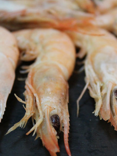 Una foto de Como cocer gambas