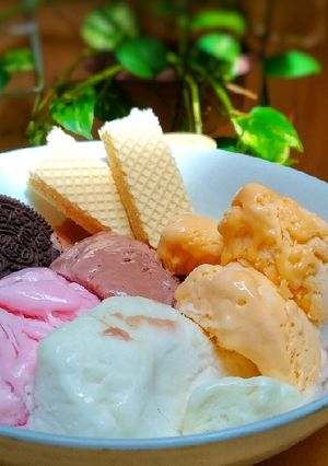 Foto resep Ice Cream Homemade (super lembut)