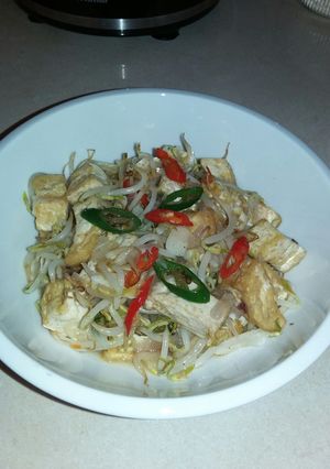 Foto resep tumis tahu toge
