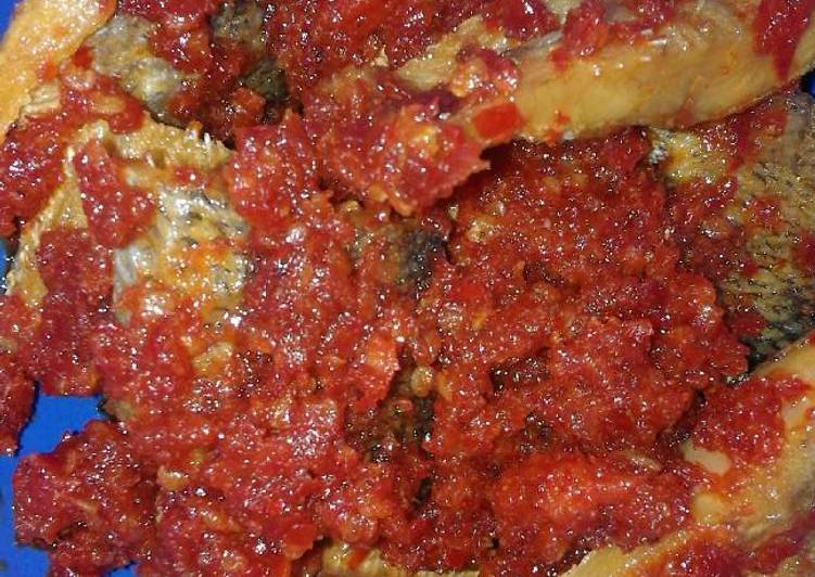 gabus balado