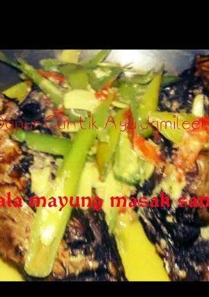Foto resep Kepala ikan mayung masak santan🐡