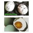 TELUR ASIN ABU GOSOK BAWANG PUTIH à la Rani