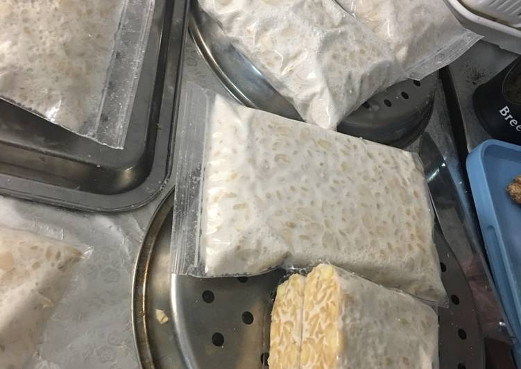 Bagaimana Menyiapkan Membuat tempe sendiri, Bikin Ngiler