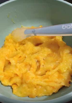Foto resep Mpasi 8+
